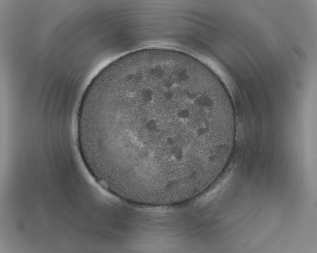 X0000113180999200909181849