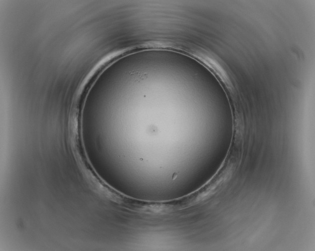 X0000113181000200909181849