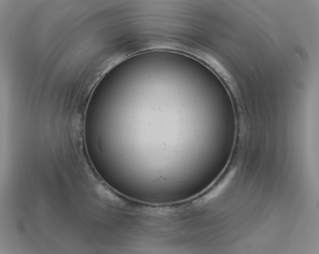 X0000113181001200909181849