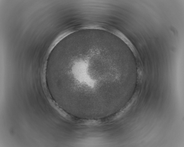 X0000113181002200909181849