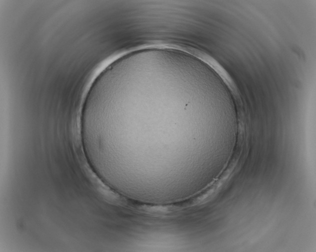 X0000113181004200909181849