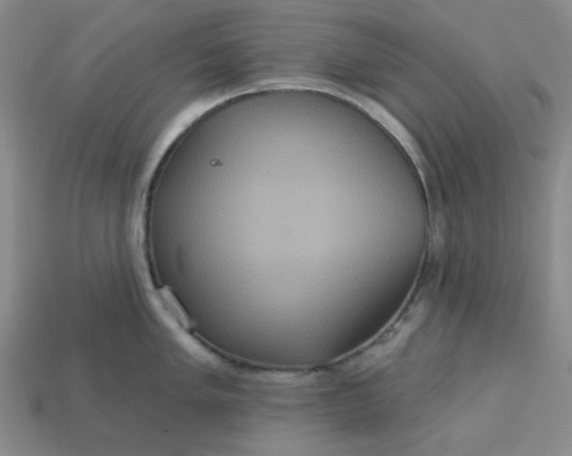 X0000113181005200909181849