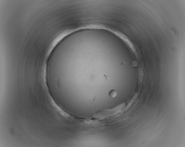 X0000113181006200909181849