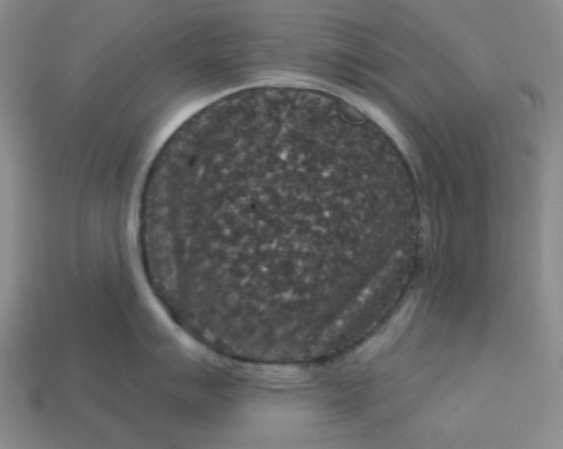 X0000113181007200909181849