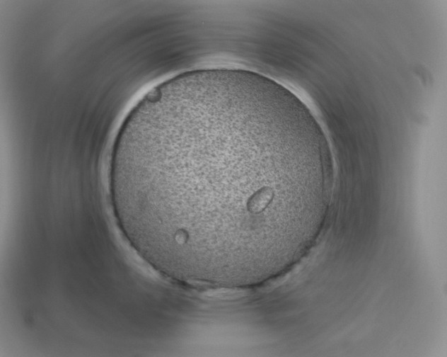 X0000113181008200909181849