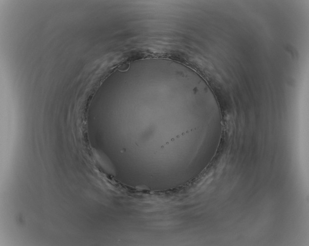 X0000113181009200909181848