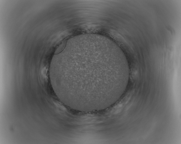 X0000113181010200909181848