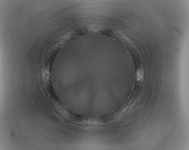 X0000113181011200909181848