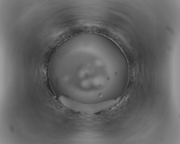 X0000113181013200909181848