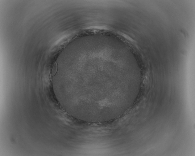 X0000113181014200909181848