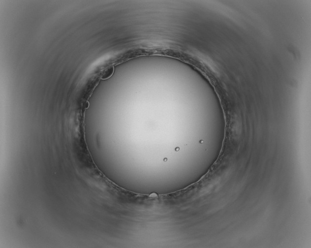 X0000113181016200909181849