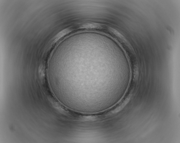 X0000113181017200909181849