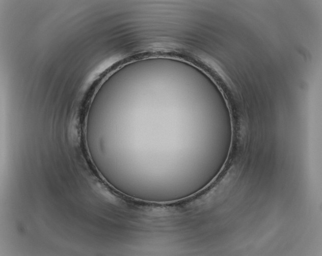 X0000113181018200909181849