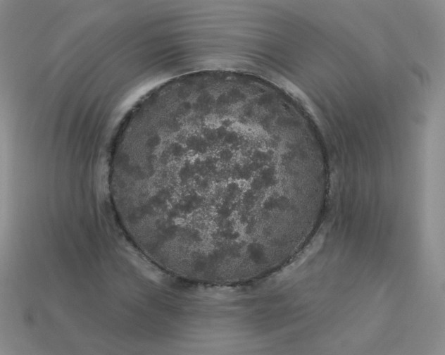 X0000113181019200909181849