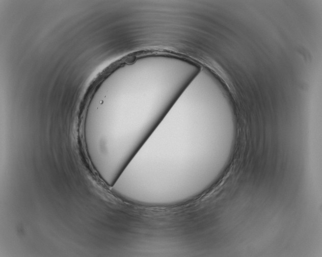 X0000113181020200909181849