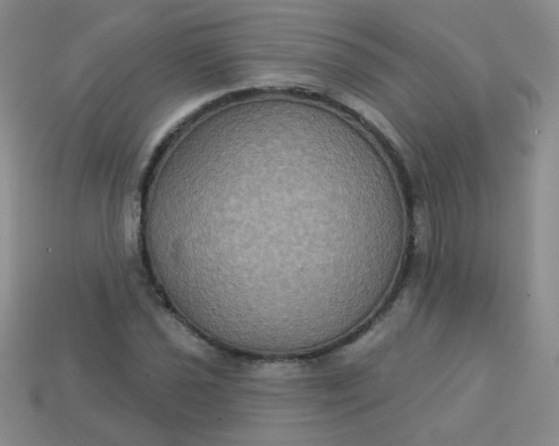 X0000113181021200909181849