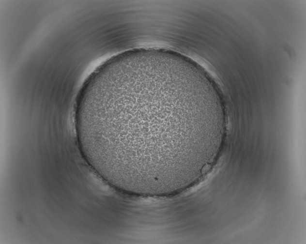 X0000113181022200909181849