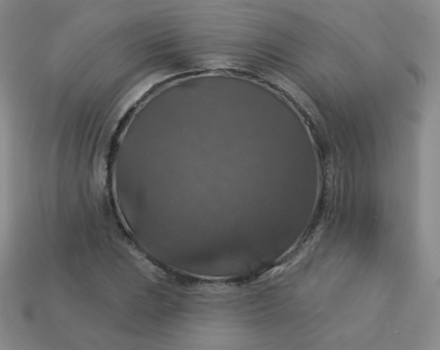 X0000113181023200909181849