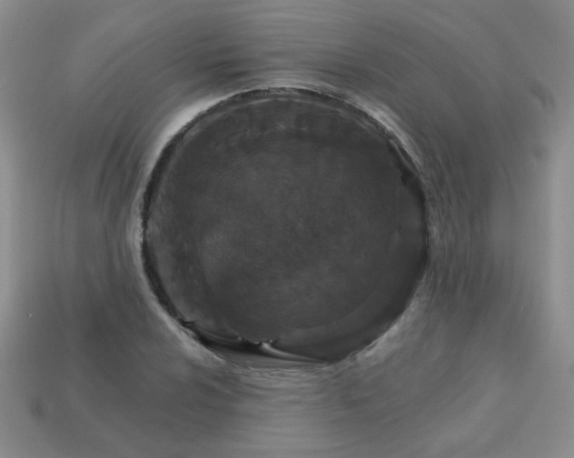 X0000113181024200909181849