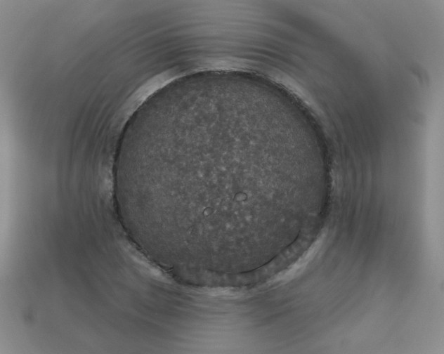 X0000113181025200909181849