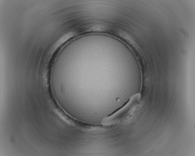 X0000113181026200909181849