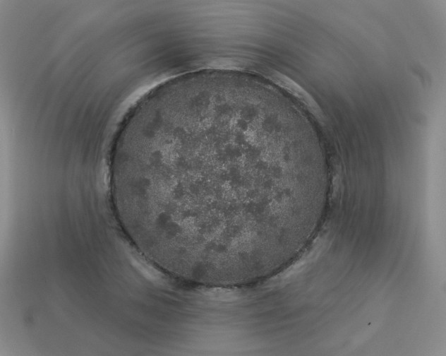 X0000113181027200909181849