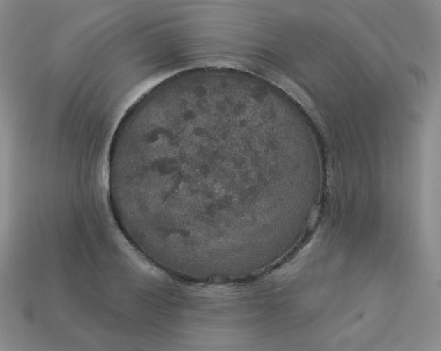 X0000113181028200909181849