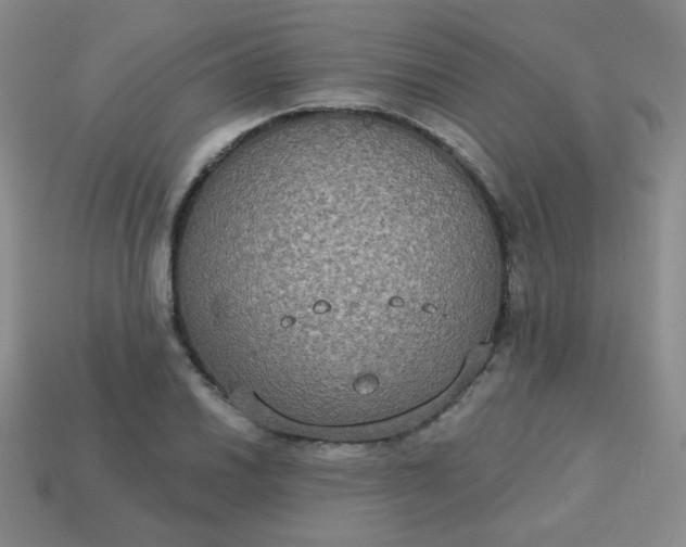 X0000113181030200909181849