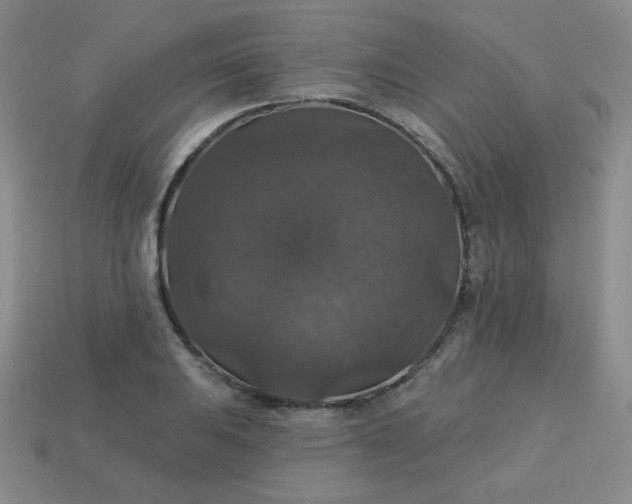 X0000113181031200909181849