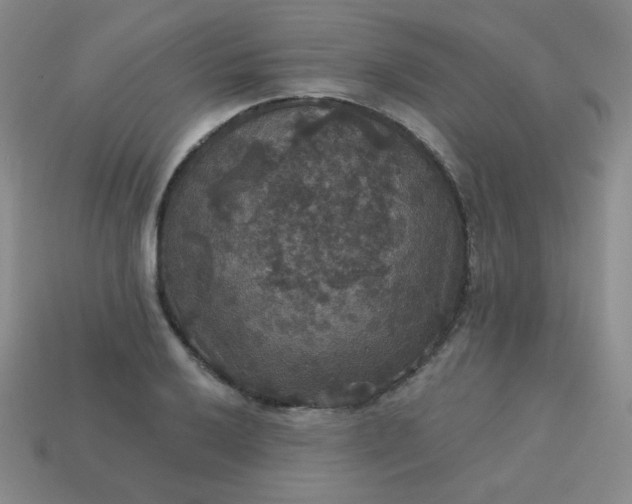 X0000113181032200909181849