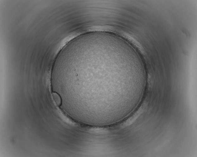 X0000113181033200909181849