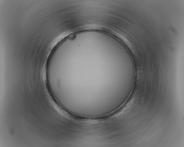 X0000113181034200909181849