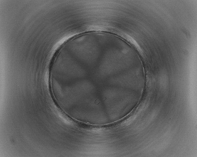 X0000113181035200909181849