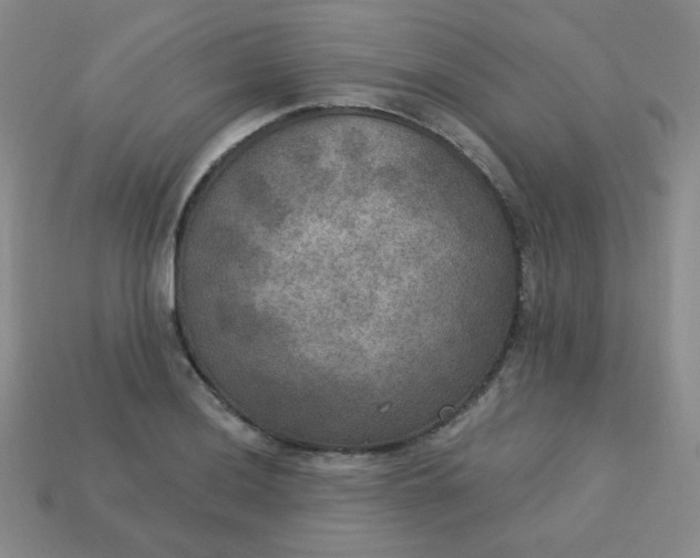 X0000113181036200909181849