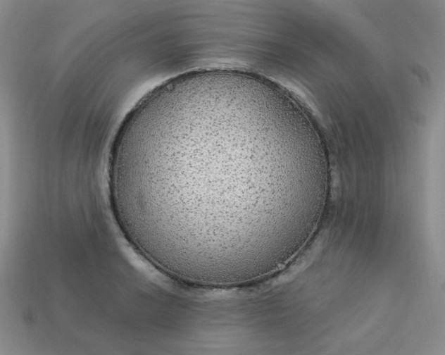 X0000113181038200909181849