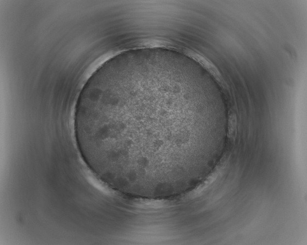 X0000113181039200909181849