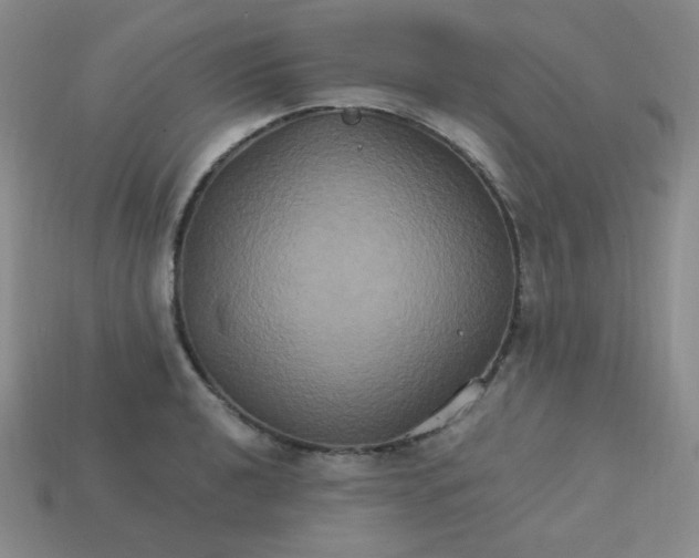 X0000113181040200909181849