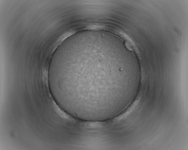 X0000113181041200909181849