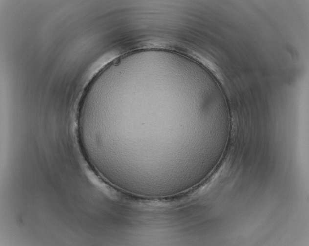 X0000113181042200909181849