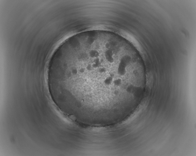 X0000113181043200909181849