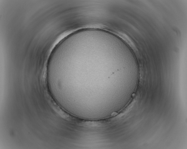 X0000113181044200909181849