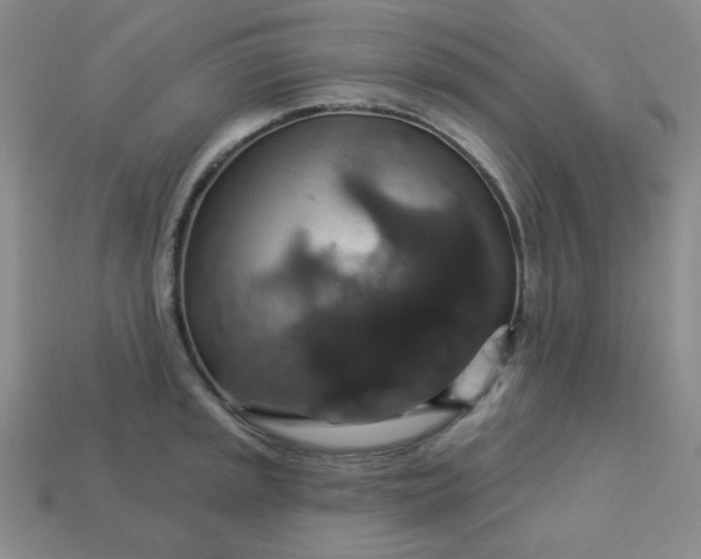 X0000113181045200909181849