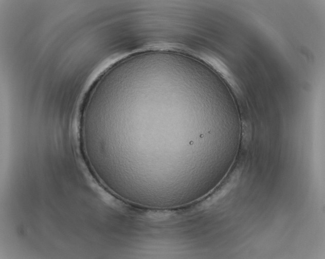 X0000113181046200909181849