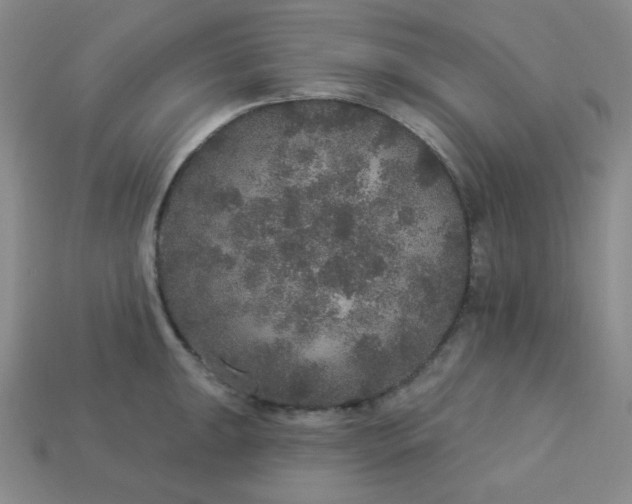 X0000113181047200909181849