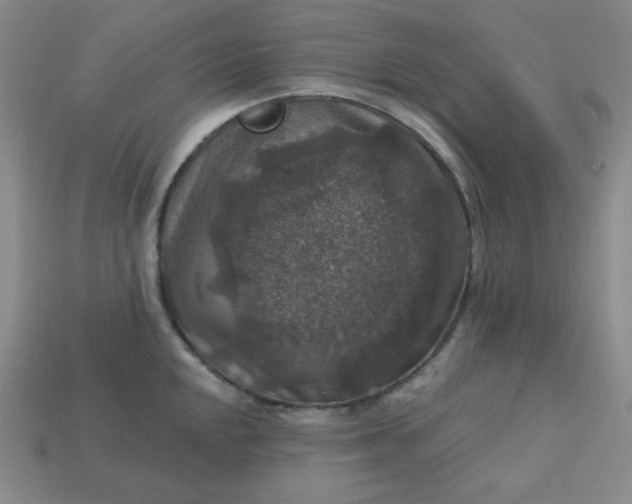 X0000113181048200909181849