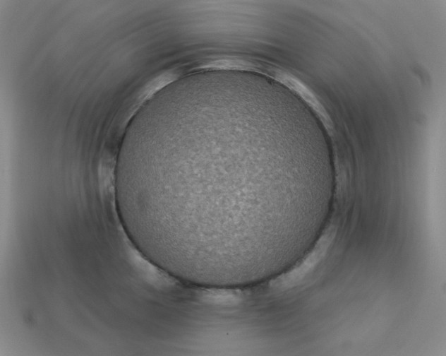 X0000113181049200909181849