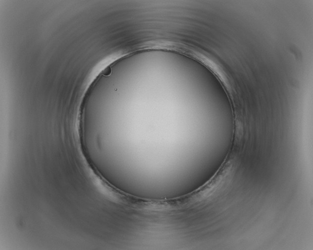 X0000113181050200909181849