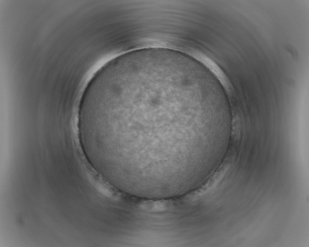 X0000113181051200909181849