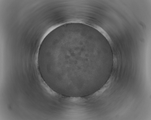 X0000113181052200909181849