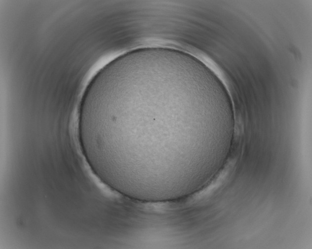 X0000113181053200909181849